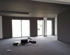 Spatiu comercial 80 mp, vad auto - Buna Ziua