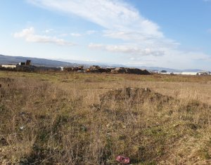 , 23100m2 on Cluj-napoca, Zóna Iris