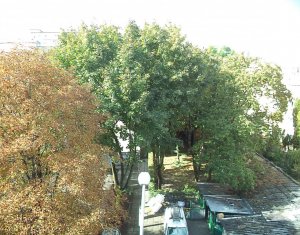 Lakás 2 szobák kiadó on Cluj-napoca, Zóna Manastur