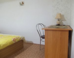 Appartement 1 chambres à louer dans Cluj-napoca, zone Centru