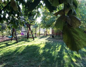 Ház 4 szobák kiadó on Floresti