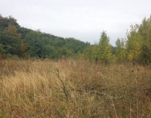 , 4912m2 on Chinteni