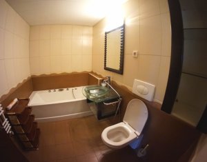 Appartement 2 chambres à louer dans Cluj-napoca, zone Plopilor