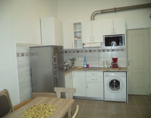 Appartement 1 chambres à louer dans Cluj-napoca, zone Centru