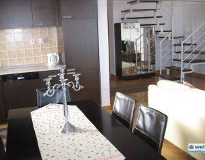 Appartement 4 chambres à louer dans Cluj-napoca, zone Andrei Muresanu