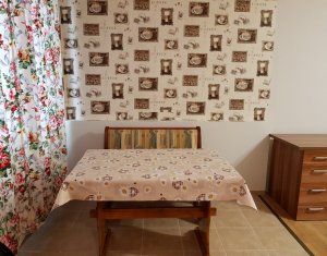 Studio à louer dans Cluj-napoca, zone Grigorescu