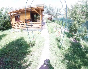 Appartement 3 chambres à louer dans Cluj-napoca, zone Gruia