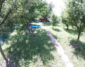 Appartement 3 chambres à louer dans Cluj-napoca, zone Gruia