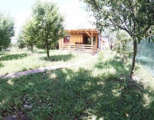 Appartement 3 chambres à louer dans Cluj-napoca, zone Gruia