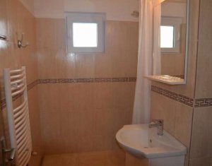 Appartement 1 chambres à louer dans Cluj-napoca, zone Gheorgheni