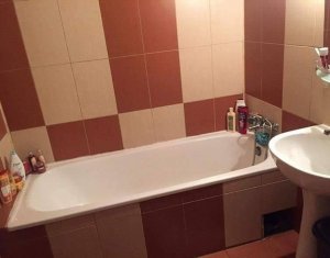 Appartement 2 chambres à louer dans Cluj-napoca, zone Intre Lacuri