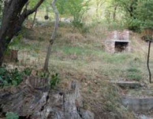 Lakás 2 szobák kiadó on Cluj-napoca