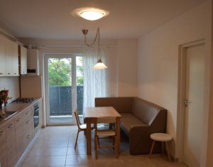 Lakás 2 szobák kiadó on Cluj-napoca, Zóna Manastur