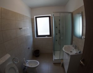 Appartement 2 chambres à louer dans Cluj-napoca, zone Andrei Muresanu