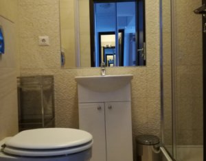 Appartement 3 chambres à louer dans Cluj-napoca, zone Buna Ziua