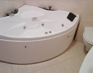 Appartement 2 chambres à louer dans Cluj-napoca, zone Buna Ziua