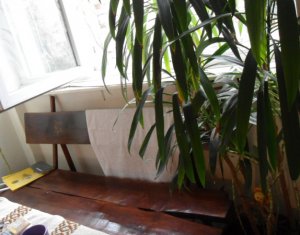 Lakás 1 szobák kiadó on Cluj-napoca, Zóna Grigorescu