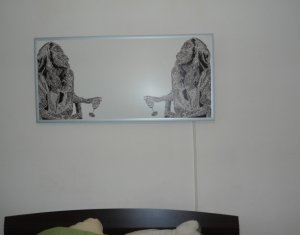 Lakás 1 szobák kiadó on Cluj-napoca, Zóna Grigorescu