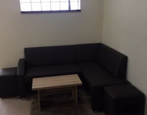 Appartement 1 chambres à louer dans Cluj-napoca, zone Borhanci