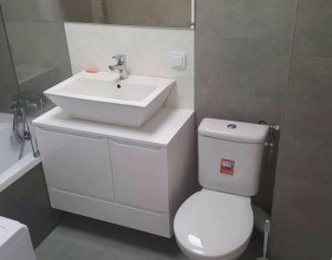 Appartement 1 chambres à louer dans Cluj-napoca, zone Andrei Muresanu