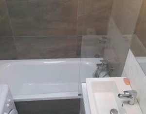 Appartement 1 chambres à louer dans Cluj-napoca, zone Andrei Muresanu