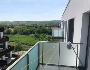 Lakás 2 szobák kiadó on Cluj-napoca, Zóna Intre Lacuri