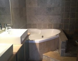 Appartement 2 chambres à louer dans Cluj-napoca, zone Andrei Muresanu