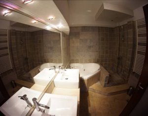 Appartement 2 chambres à louer dans Cluj-napoca, zone Andrei Muresanu