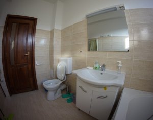 Appartement 4 chambres à louer dans Cluj-napoca, zone Buna Ziua