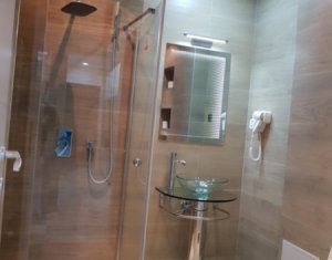 Lakás 2 szobák kiadó on Cluj-napoca, Zóna Gheorgheni