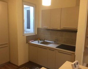 Appartement 3 chambres à louer dans Cluj-napoca, zone Centru