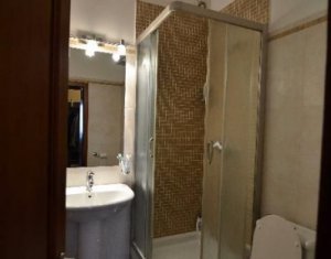 Appartement 3 chambres à louer dans Cluj-napoca, zone Andrei Muresanu