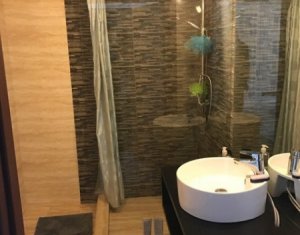 Appartement 4 chambres à louer dans Cluj-napoca, zone Andrei Muresanu