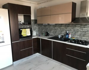 Appartement 4 chambres à louer dans Cluj-napoca, zone Andrei Muresanu