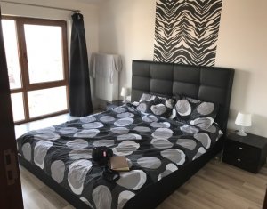 Appartement 4 chambres à louer dans Cluj-napoca, zone Andrei Muresanu