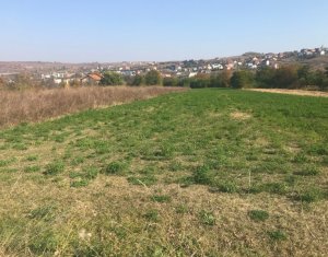 Telek eladó on Cluj-napoca, Zóna Borhanci