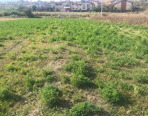 Telek eladó on Cluj-napoca, Zóna Borhanci