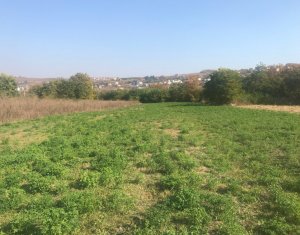 Telek eladó on Cluj-napoca, Zóna Borhanci