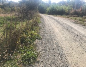 Telek eladó on Cluj-napoca, Zóna Borhanci