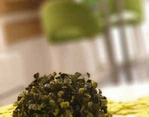 Lakás 2 szobák kiadó on Cluj-napoca, Zóna Marasti