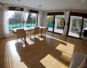 Ház 5 szobák kiadó on Cluj-napoca