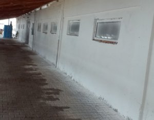 Telek eladó on Iclod