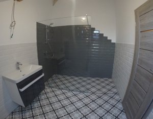 Ház 5 szobák kiadó on Cluj-napoca, Zóna Intre Lacuri