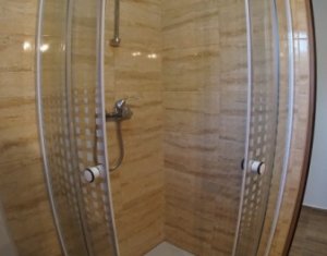 Appartement 1 chambres à louer dans Cluj-napoca