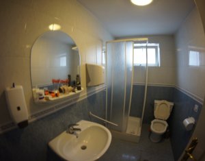 Maison 4 chambres à louer dans Cluj-napoca, zone Zorilor