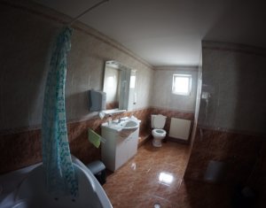 Maison 4 chambres à louer dans Cluj-napoca, zone Zorilor