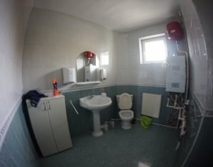 Maison 4 chambres à louer dans Cluj-napoca, zone Zorilor