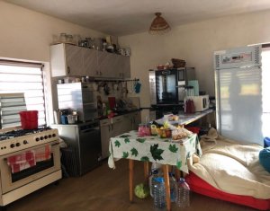 Telek kiadó on Salicea