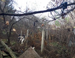 Ház 5 szobák eladó on Cluj-napoca, Zóna Zorilor