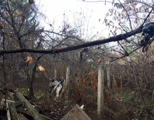 Ház 5 szobák eladó on Cluj-napoca, Zóna Zorilor